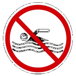 Pool rule icon